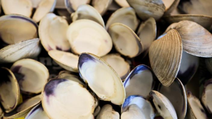 Quahog Festival Warren Rhode Island 2022