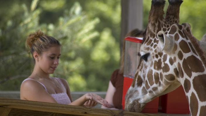 Time Is Running Out! Think About These 10 Ways To Change Your park