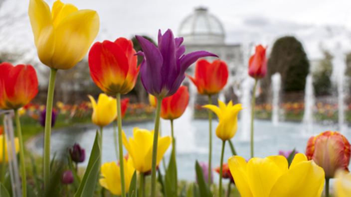 Lewis Ginter Botanical Garden