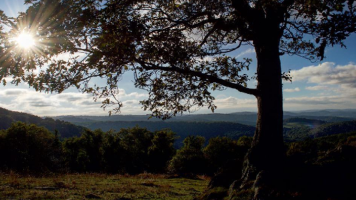 Rocky Knob Camping Floyd Va 24091