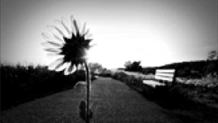Santa Fe Digital Darkroom Photographic Workshops Tours