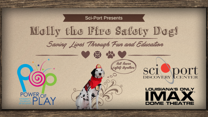 Sci Port Presents Clear The Shelters 17 Aug 2019
