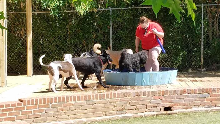 Luckys Yellow Rubber Ducky Inc