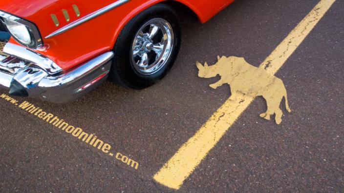 Cruise Night Car Show At White Rhino Dyer In 46311