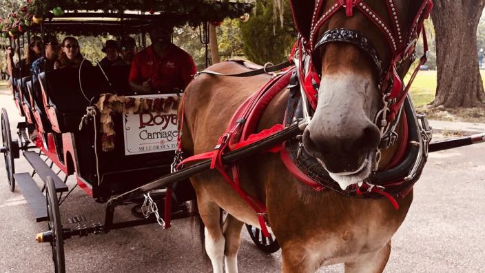 royal carriage tours