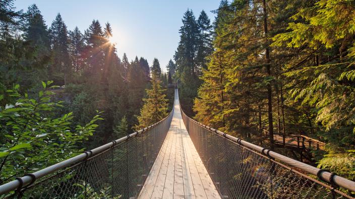 Capilano Suspension Bridge Park