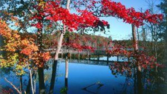 Newport News Park Campsites