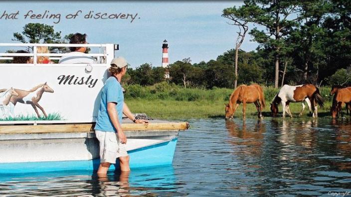Assateague Explorer Pony Watching/Wildlife Cruises