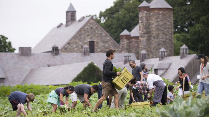 Stone Barns Center For Food Agriculture