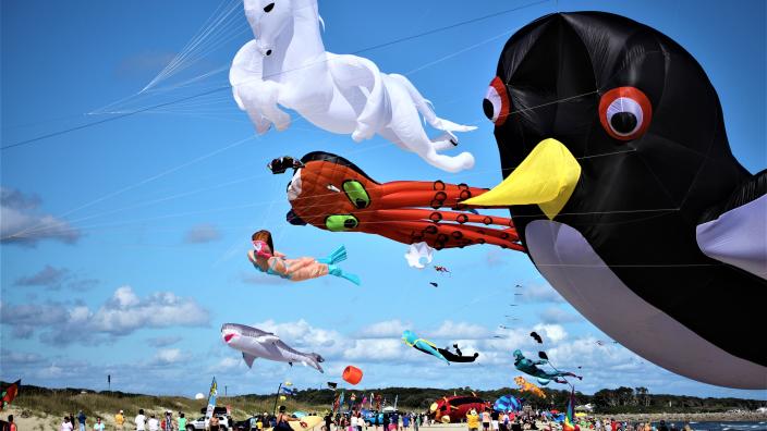 15th Annual Cape Fear Kite Festival Kure Beach Nc 28449