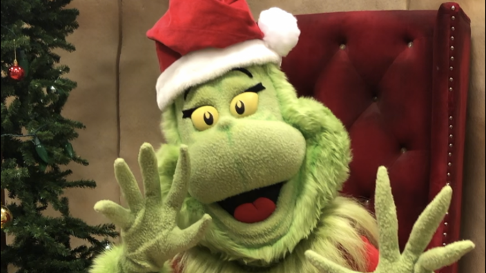 Photos With The Grinch