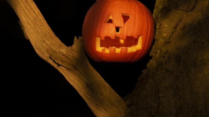Big Wild Halloween Party 2026