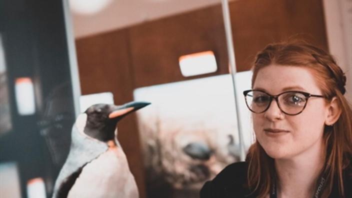 Taxidermy in Action with Sarah Burhouse at Birmingham Museum and Art Gallery