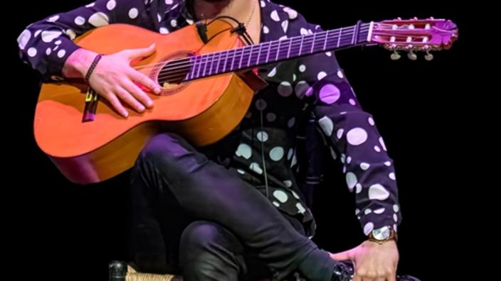 Daniel Martinez Flamenco Company: Al Compas Del Querer