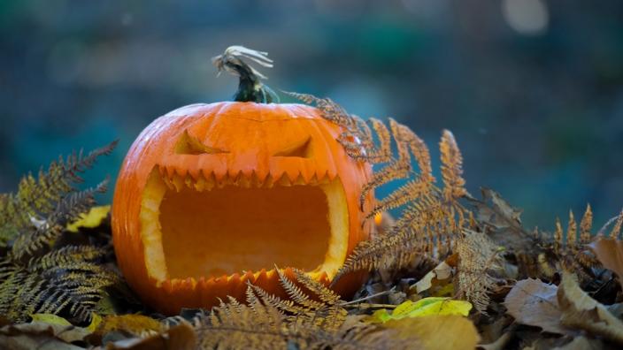 Wild Halloween Nature Potion Hunt