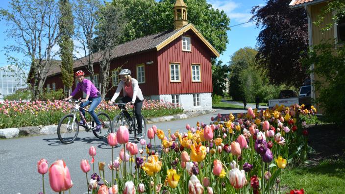 Experience Raet National Park In Grimstad On Bike