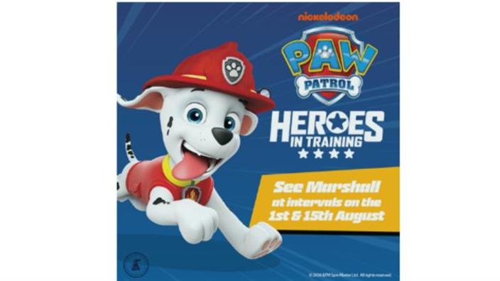 Paw patrol marshall training center best sale