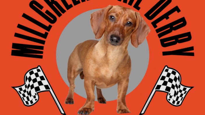 Doxie derby shop