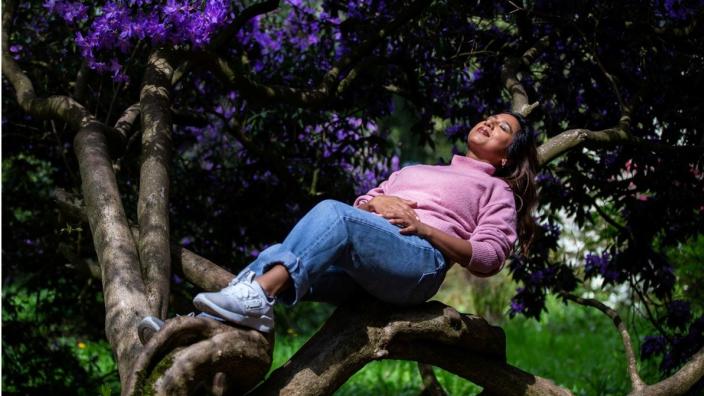 In Tune With Nature - summer trail at Westonbirt Arboretum at Westonbirt, The National Arboretum