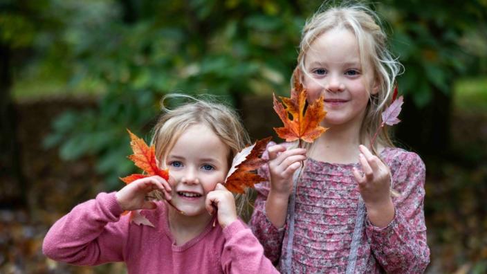 Maple Magic - family event at Westonbirt, The National Arboretum