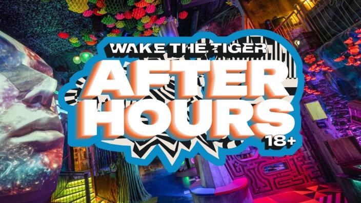 After Hours at Wake the Tiger at The Dream Factory
