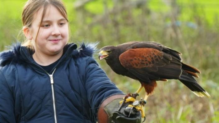 Junior Bird Keeper Experience at The Bird of Prey Project at The Bird of Prey Project