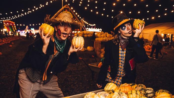 Pumpkin Patch Nights at Avon Valley Adventure & Wildlife Park at Keynsham