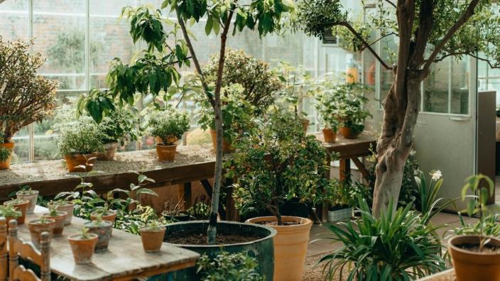 Spring Bulb Planting Workshop at Badminton Estate at S Gloucestershire & the S Cotswolds