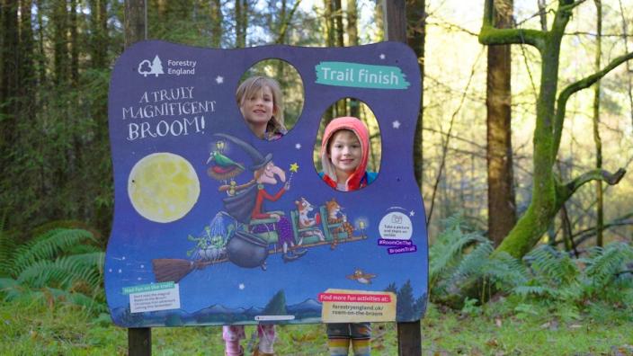 Room on the Broom trail at Westonbirt, The National Arboretum at Westonbirt, The National Arboretum