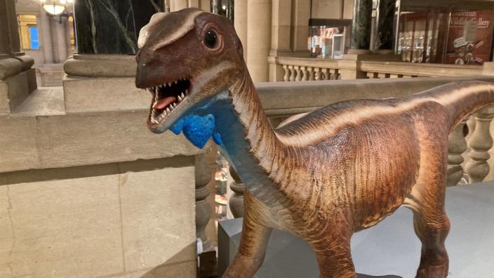 Bristol's Dinosaurs Tour at Bristol Museum & Art Gallery at Bristol Museum & Art Gallery