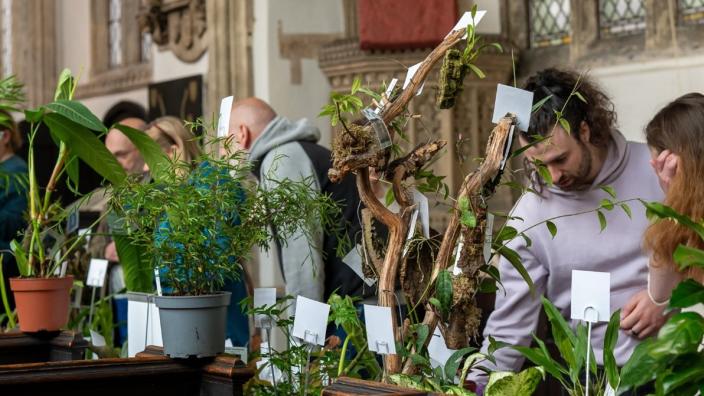 Bristol Rare Plants and Orchid Fair at St Phillip and St Jacob Church at Tower Hill