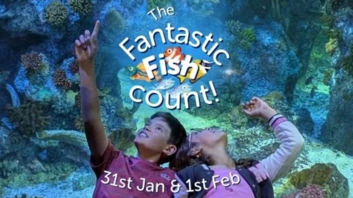 Conservation Carnival at Bristol Aquarium at Bristol Aquarium