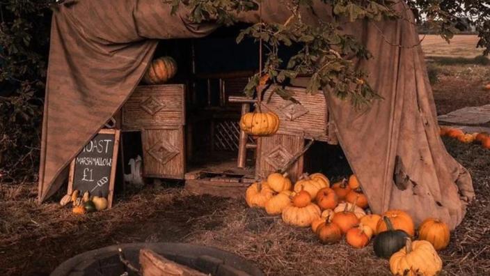 Pumpkin Picking Festival at Farrington's Farm at Farrington's Farm Shop
