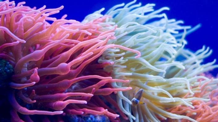 Even Calmer Days at Bristol Aquarium at Bristol Aquarium