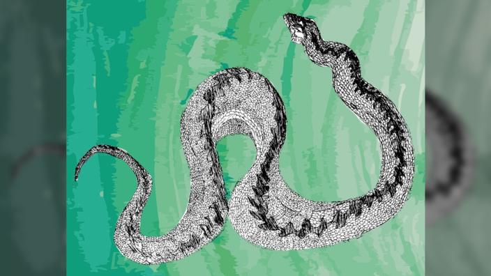 Seeking Serpents: A Secret Garden Trail at The Bluecoat
