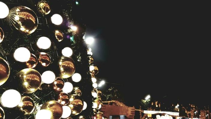 Santa's Grotto 2026 at Dobbies Liverpool