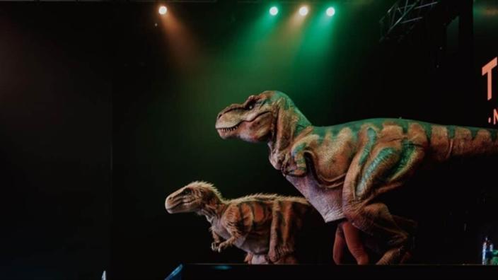 Teach Rex at Camp and Furnace