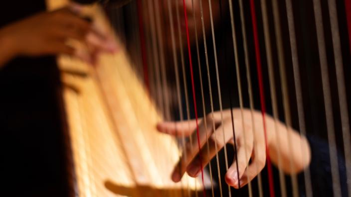 Showcase I | The Menuhin Hall