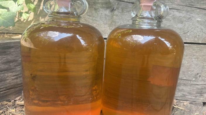 Misty Moon Cider Making Courses | Rural Life Living Museum