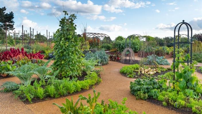 Flavours of Autumn | RHS Garden Wisley
