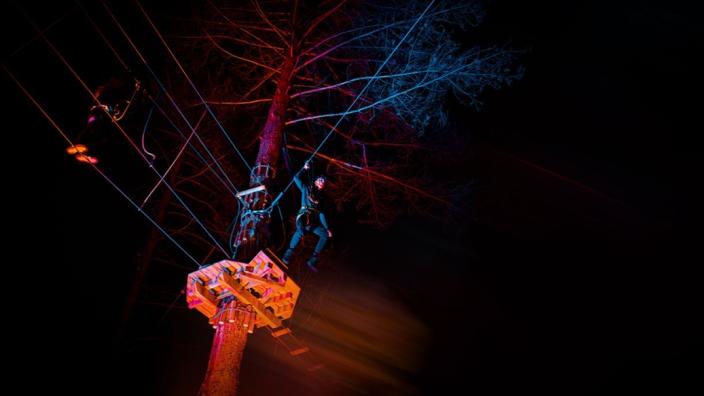 Go Ape Alice Holt's Sundown Adventures - Ziplines at Night