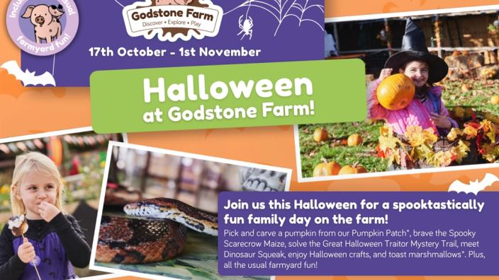 Halloween at Godstone Farm