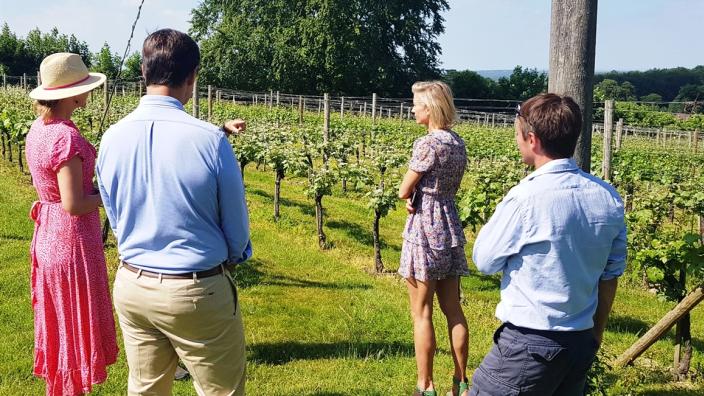 High Clandon Vineyard Open Day - 24 October 2026