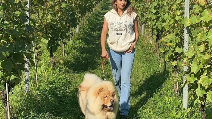 Walkies & Wine | Albury Vineyard