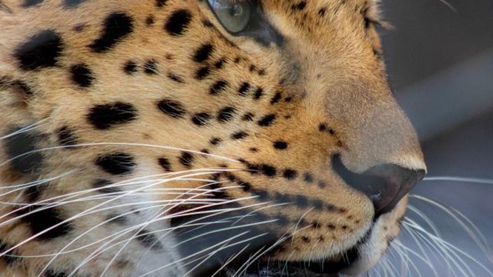 Party for the Planet!