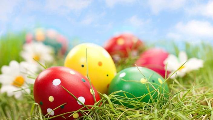 Easter Bunny Photo Experience at The Florida Mall®