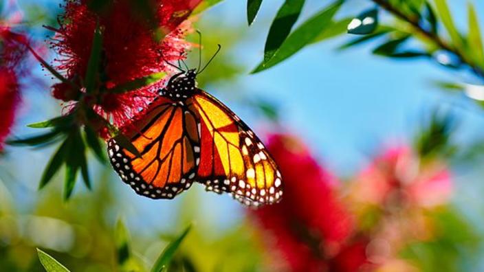 Art Day at Leu Gardens