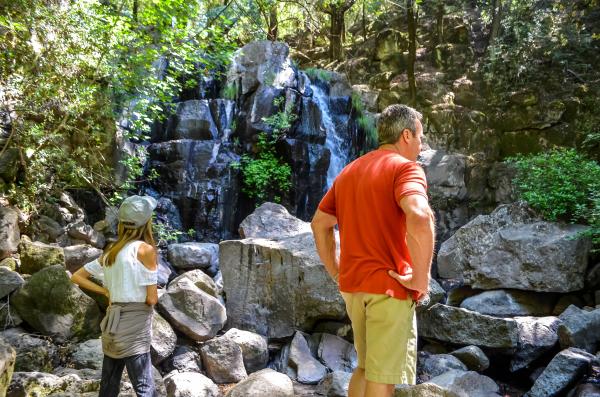 Napa Native Tours
