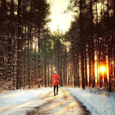 winter hike at Walnut Woods