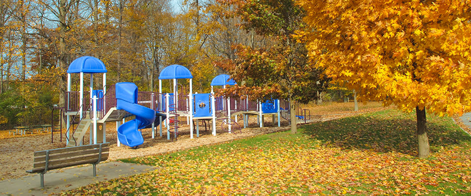 frances park
